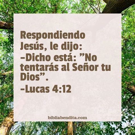 talagang buwisit ang sabong isinusumpa ko|Lucas 4:12 .